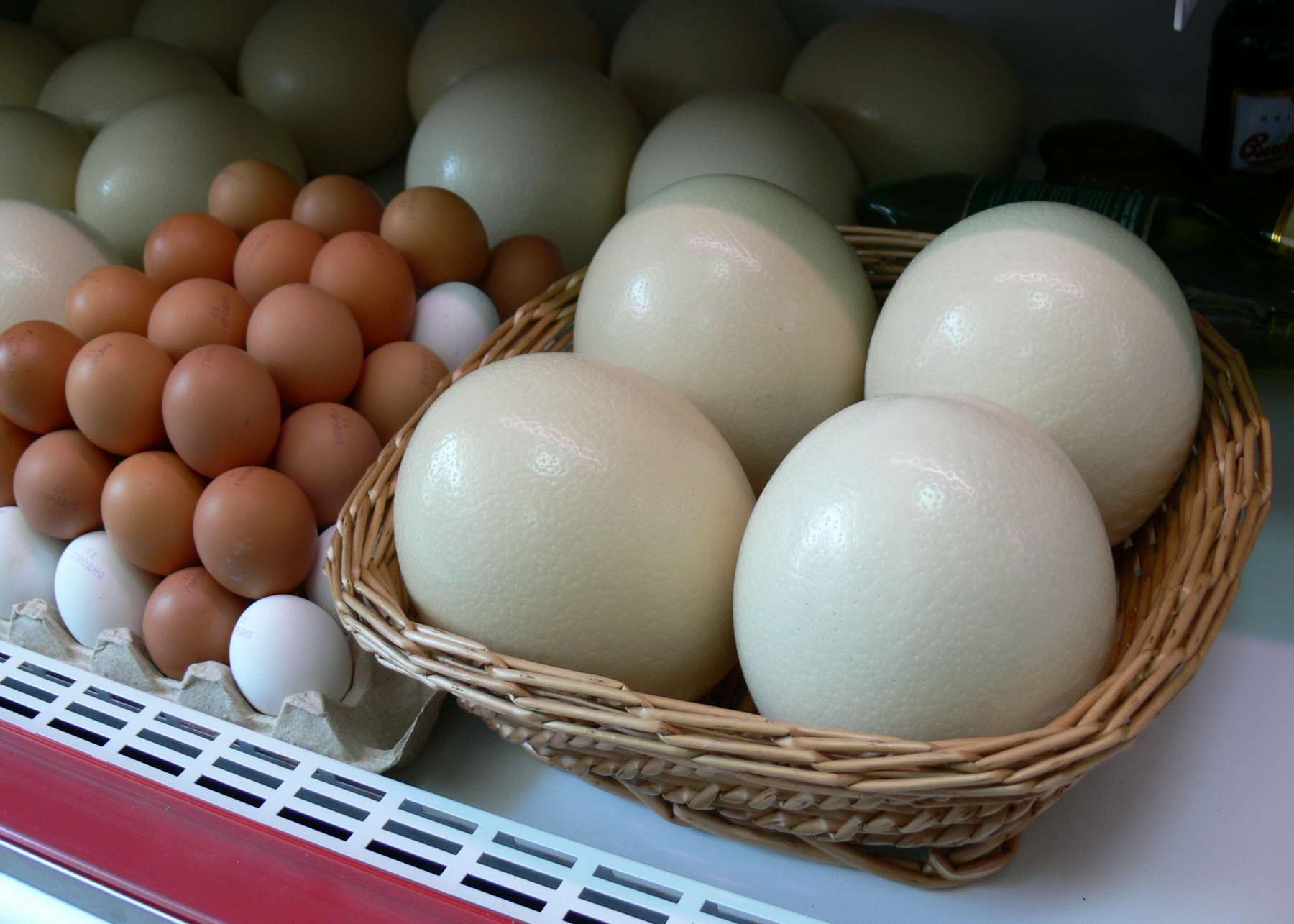 Купить яйца в геншине. Страусиное яйцо размер. Вес страусиного яйца. Яйца страусов. Страусиное яйцо и куриное.